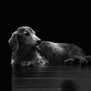 Meet your Posher, Alison